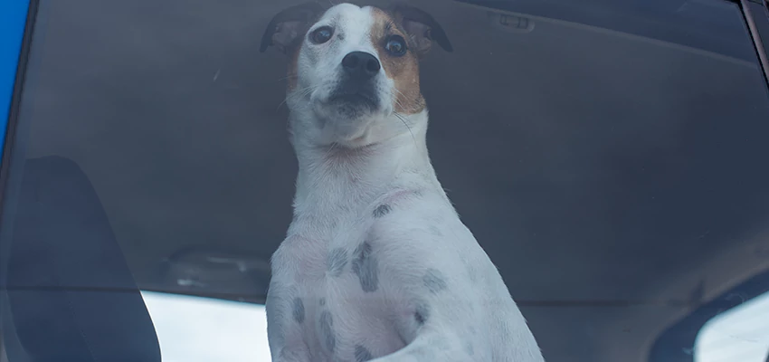 Car Lockout Solutions in Redlands, California